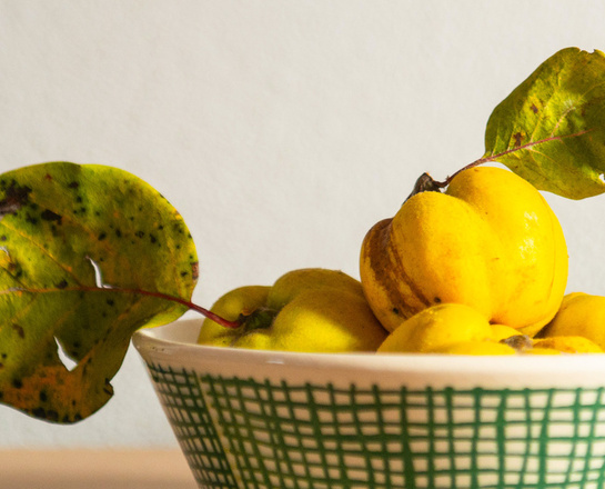 Quittenstilleben_DTH_1780_© Stefan Weigand